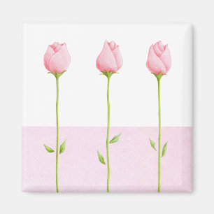 3 Roze rosebuds Magnet