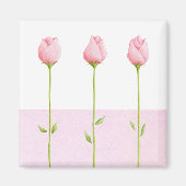 3 Roze Rozenknoppen Magneet (Voorkant)