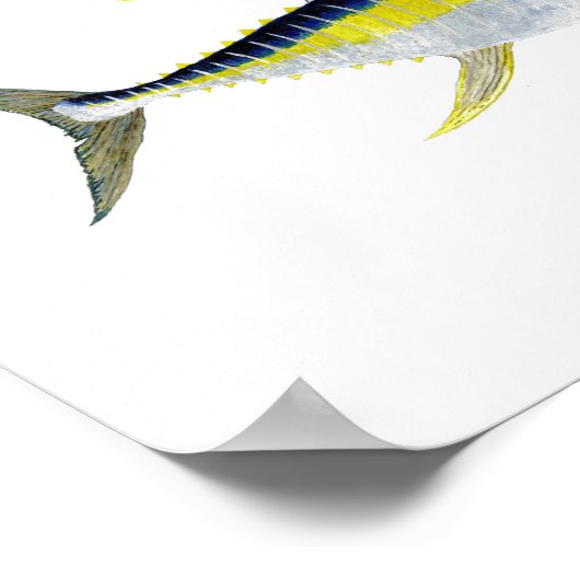 3 Saltwater Gamefish Poster (Hoek)