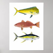 3 Saltwater Gamefish Poster (Voorkant)