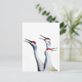 3 Sandhill Cranes Photo Stationery Briefkaart (Staand voorkant)