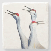 3 Sandhill Kranen Foto Stone Onderzetter (Voorkant)