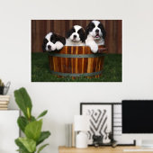 3 Schattige Sint-BernardPuppies in een loop Poster (Thuiskantoor)