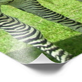 3 Schattigee zebra's Foto Afdruk (Hoek)