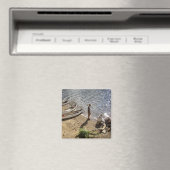 3 Scouts 3 kano's magneet (Insitu (Vaatwasser))