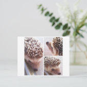 3 Sluiten, Spike Briefkaart (Staand voorkant)