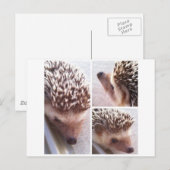 3 Sluiten, Spike Briefkaart (Voorkant / Achterkant)