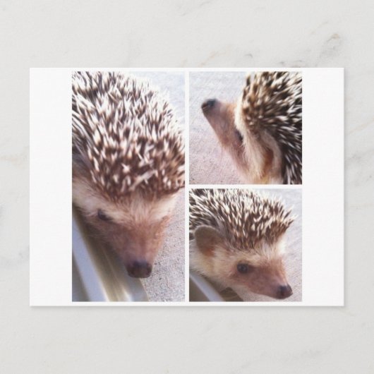 3 Sluiten, Spike Briefkaart (Voorkant)