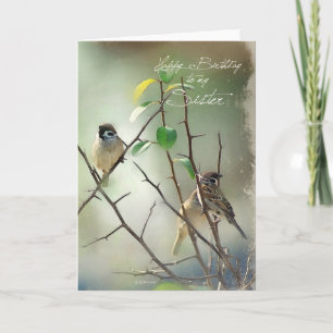3 Song Vogels Resten Verjaardag Kaart voor uw zus