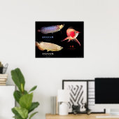 3 Soorten Aziatische Arowanaの ポ タ ー Poster (Thuiskantoor)