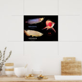 3 Soorten Aziatische Arowanaの ポ タ ー Poster (Keuken)