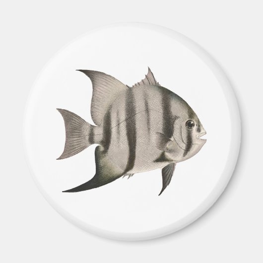3 Spadefish Logo Magneet (Voorkant)