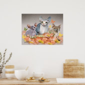 3 sphynx kittens poster (Keuken)