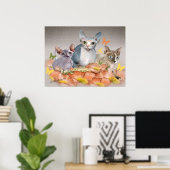 3 sphynx kittens poster (Thuiskantoor)