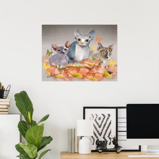 3 sphynx kittens poster (Thuiskantoor)