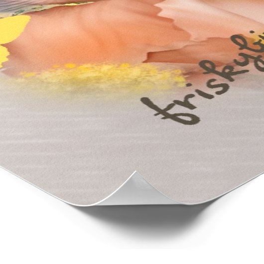 3 sphynx kittens poster (Hoek)