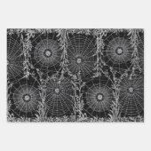 3 Spider Web Roos Halloween Collage Ephemera Blad Inpakpapier Vel (Voorkant 3)