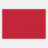 3 st. Pc. Schedel Ornament inpakpapier (Voorkant 3)