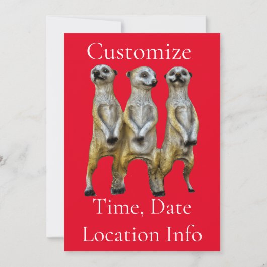 3 Staande Meerkats Thunder_Cove Kaart (Voorkant)