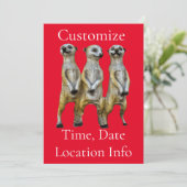 3 Staande Meerkats Thunder_Cove Kaart (Staand voorkant)
