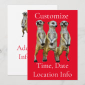 3 Staande Meerkats Thunder_Cove Kaart (Voorkant / Achterkant)