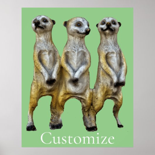 3 Staande Meerkats Thunder_Cove Poster (Voorkant)