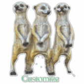 3 Staande Meerkats Thunder_Cove Sticker (Voorkant)