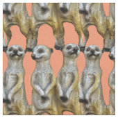 3 Staande Meerkats Thunder_Cove Stof (Close Up)