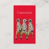 3 Staande Meerkats Thunder_Cove Visitekaartje (Voorkant)