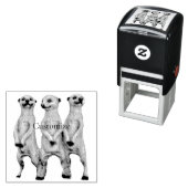 3 Staande Meerkats Thunder_Cove Zelfinktende Stempel (In situ)