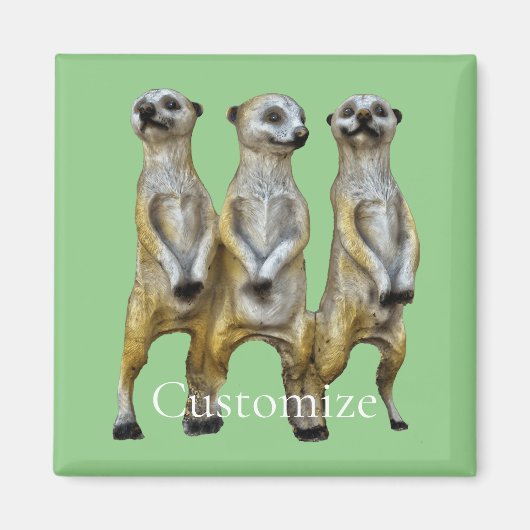 3 Staande Meerkatten Thunder_Cove Magneet (Voorkant)