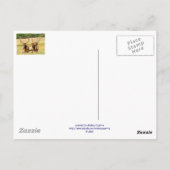 3 stieren (Elk) Briefkaart (Achterkant)