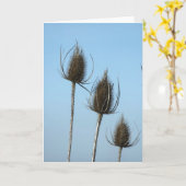3 Teazles Kaart (Gele Bloem)