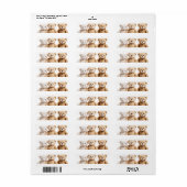 3 teddy bears  etiket (Full Sheet)