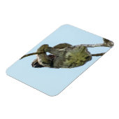 3-toed luiaard kleine magneet (Linkerzijde)