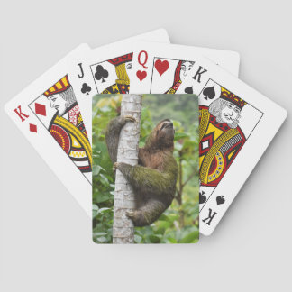 3-toed sleufkaarten pokerkaarten