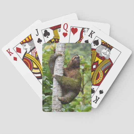 3-toed sleufkaarten pokerkaarten (Achterkant)