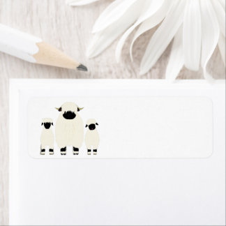 3 Valais Black Nose Sheep in een rij Etiket