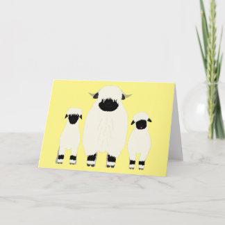 3 Valais Black Nose Sheep in een rij Kaart