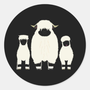 3 Valais Black Nose Sheep in een rij Ronde Sticker