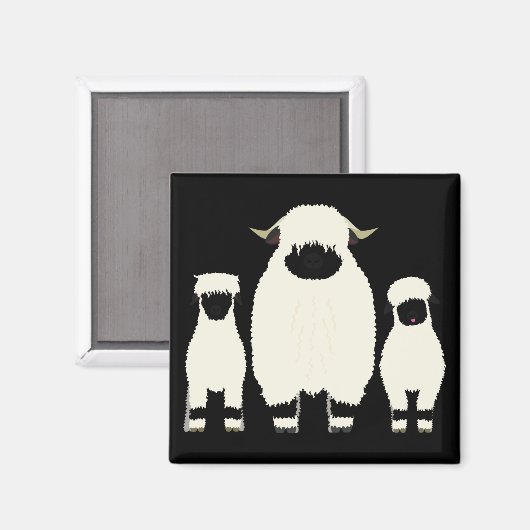 3 Valais Sheep op rij Magneet (Voorkant / Achterkant)