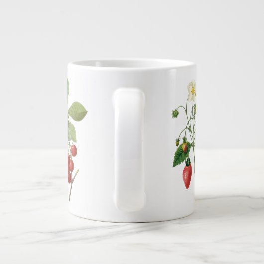 3 Verschillende  Botanische Fruit door Redoute Grote Koffiekop (Achterkant)