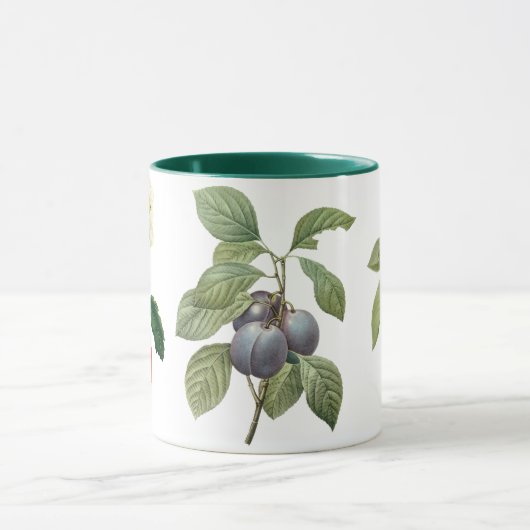 3 Verschillende Botanische Fruit door Redoute Mok (Midden)