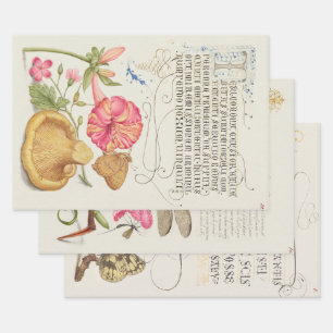 3 verschillende Vintage Tuin Scènes Bloemen, Insec Inpakpapier Vel