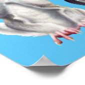 3 verstandige zweefvliegtuigen poster (Hoek)