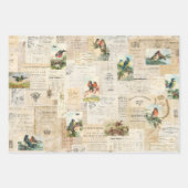 3  vogelkuil Ephemera Sheets Inpakpapier Vel (Voorkant 3)