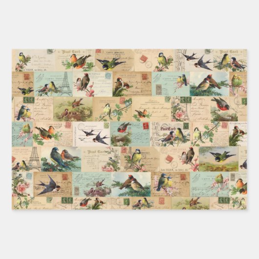 3 vogelkuil Ephemera Sheets Inpakpapier Vel (Voorkant 2)