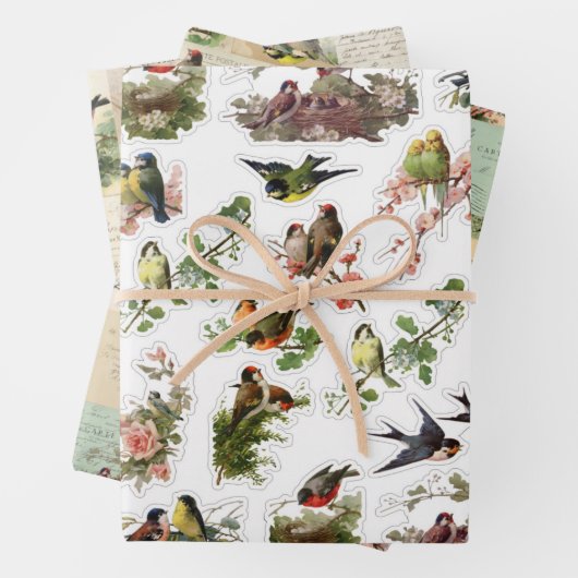 3 vogelkuil Ephemera Sheets Inpakpapier Vel (In situ)