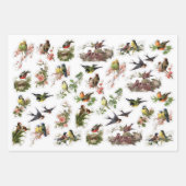 3  vogelkuil Ephemera Sheets Inpakpapier Vel (Voorkant)