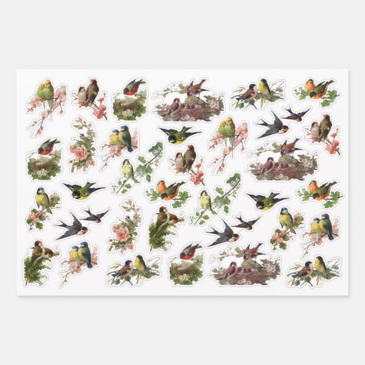 3 vogelkuil Ephemera Sheets Inpakpapier Vel (Voorkant)